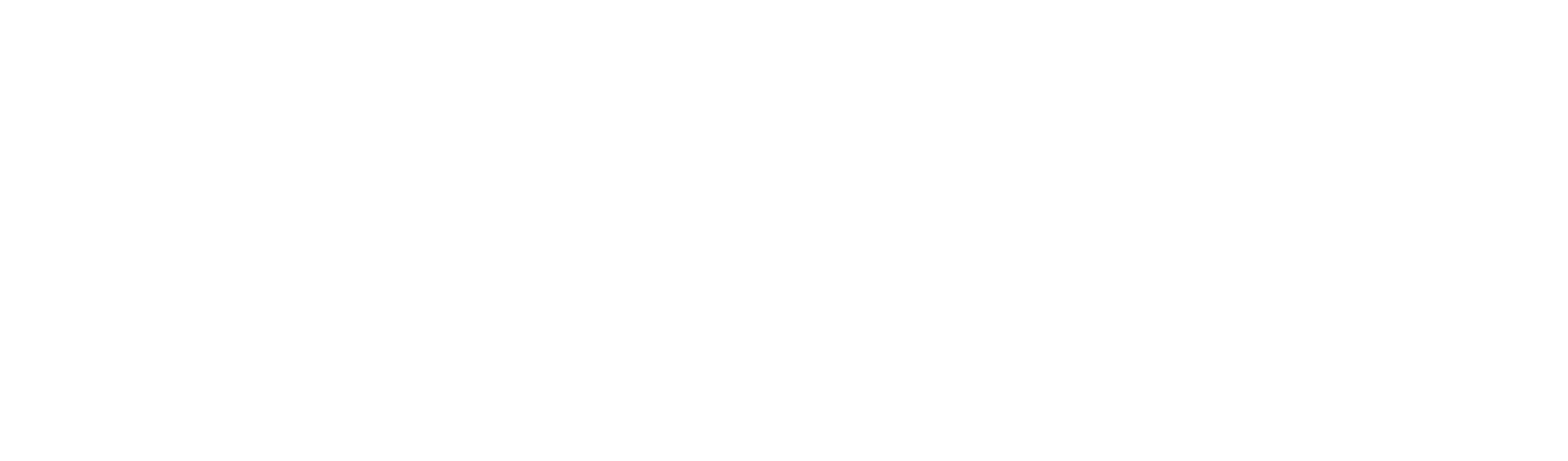 PONG.Li Studios Logo